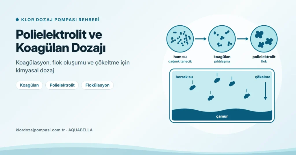 Polielektrolit ve Koagülan Dozajı: Pompa Seçimi ve Hazırlama